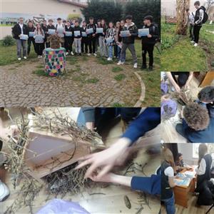 O oră în sprijinul naturii